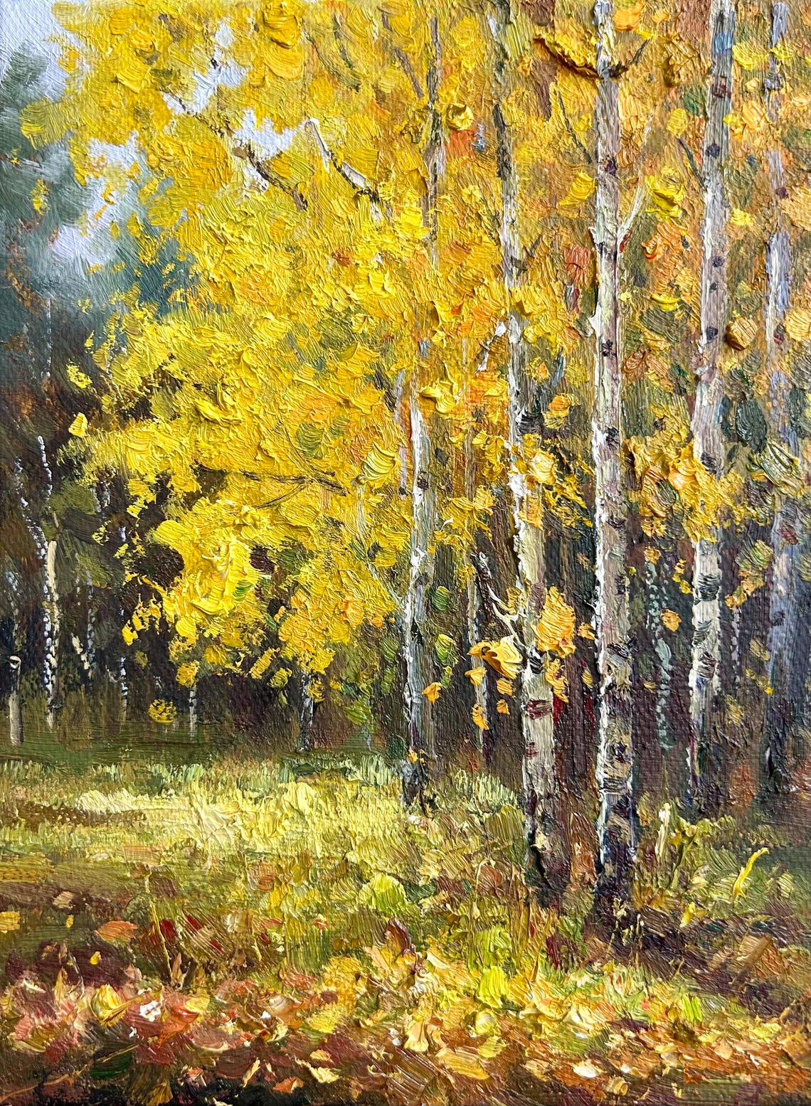 Autumn Birch Trees Oil Painting Yellow Canopy Fallen Leaves Poster - Image 5