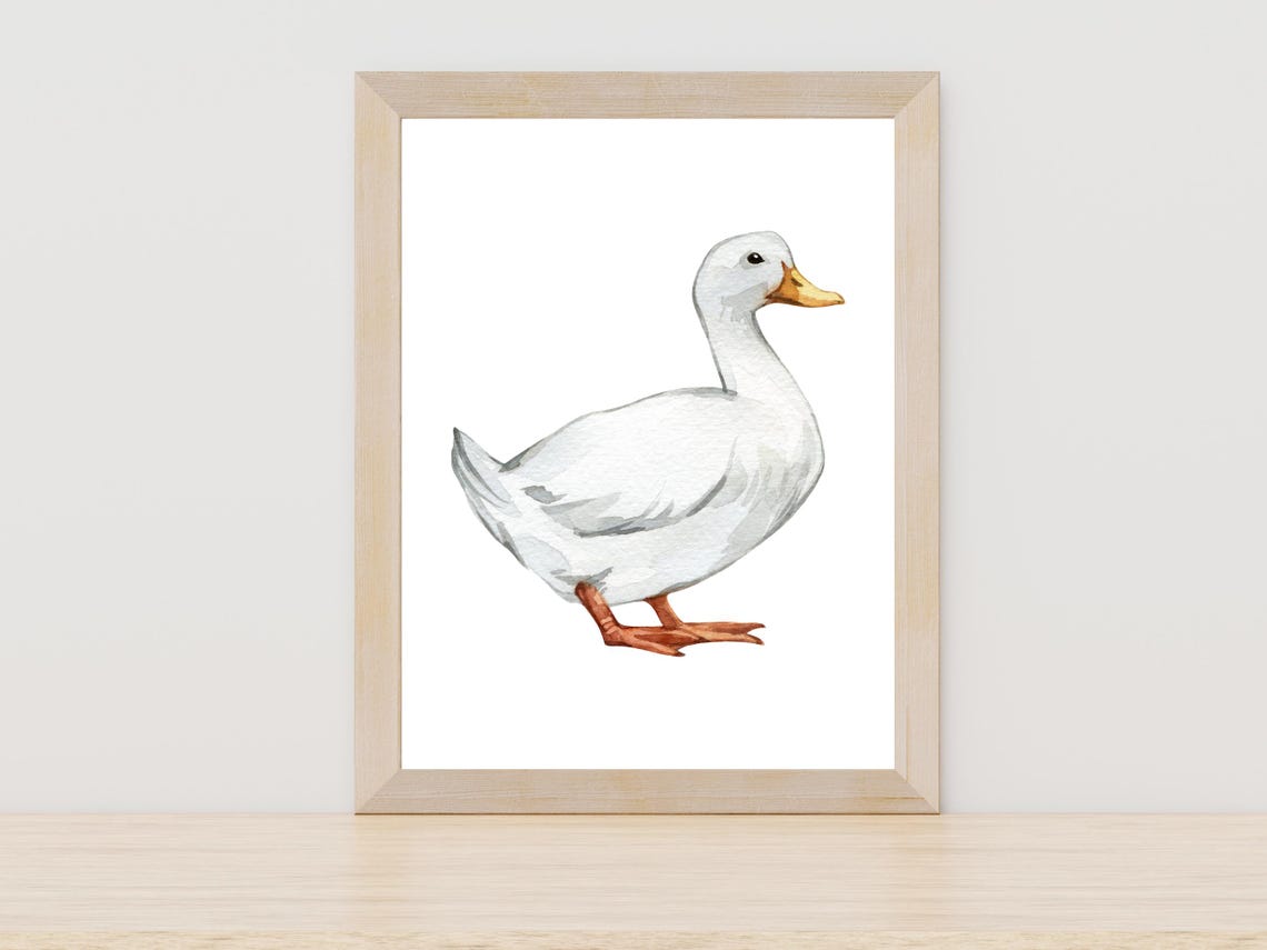 Sweet White Duck Watercolor Painting Farm Animal Nursery Wall Art