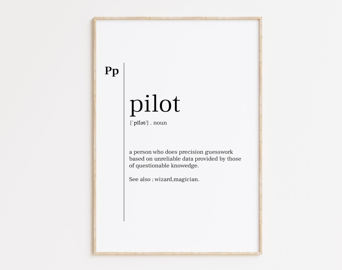 Pilot Noun Funny Definition Wizard Magician Aviation Gift Poster