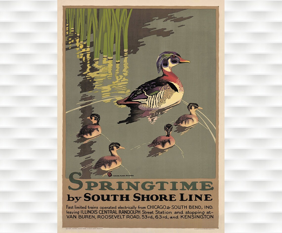 Springtime by South Shore Line Wood Duck Family Vintage Poster