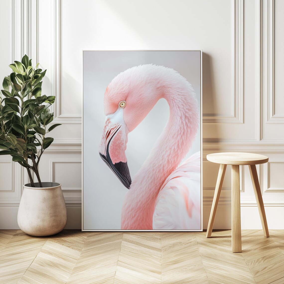 Pink Flamingo Portrait, Close-Up Nature Photography