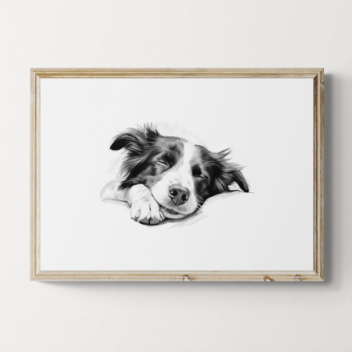 Sleeping Border Collie Vintage Sketch Art Print