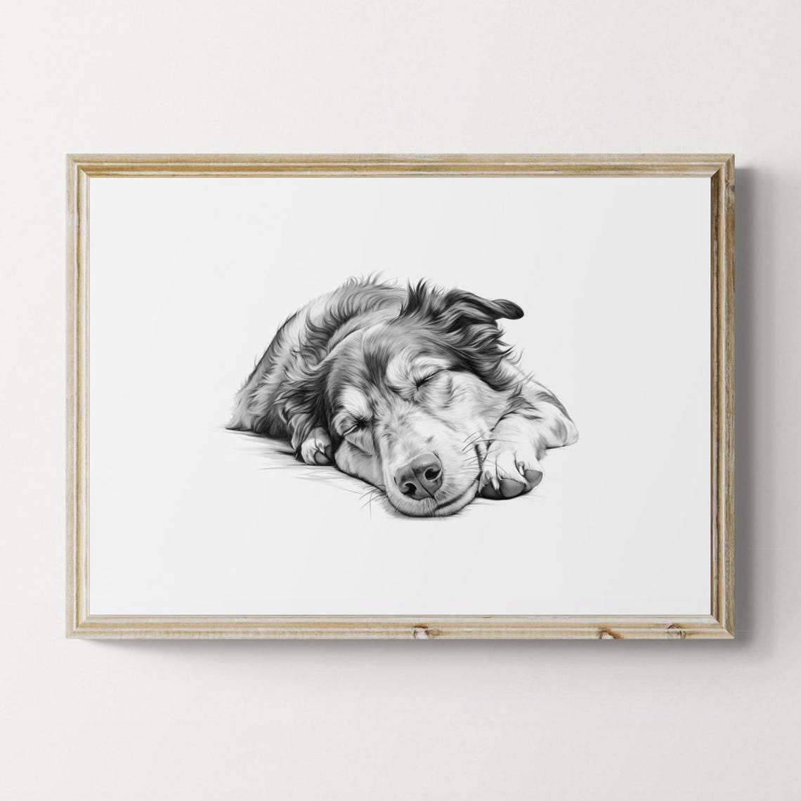 Australian Shepherd Puppy Sleeping Vintage Pencil Sketch Wall Art