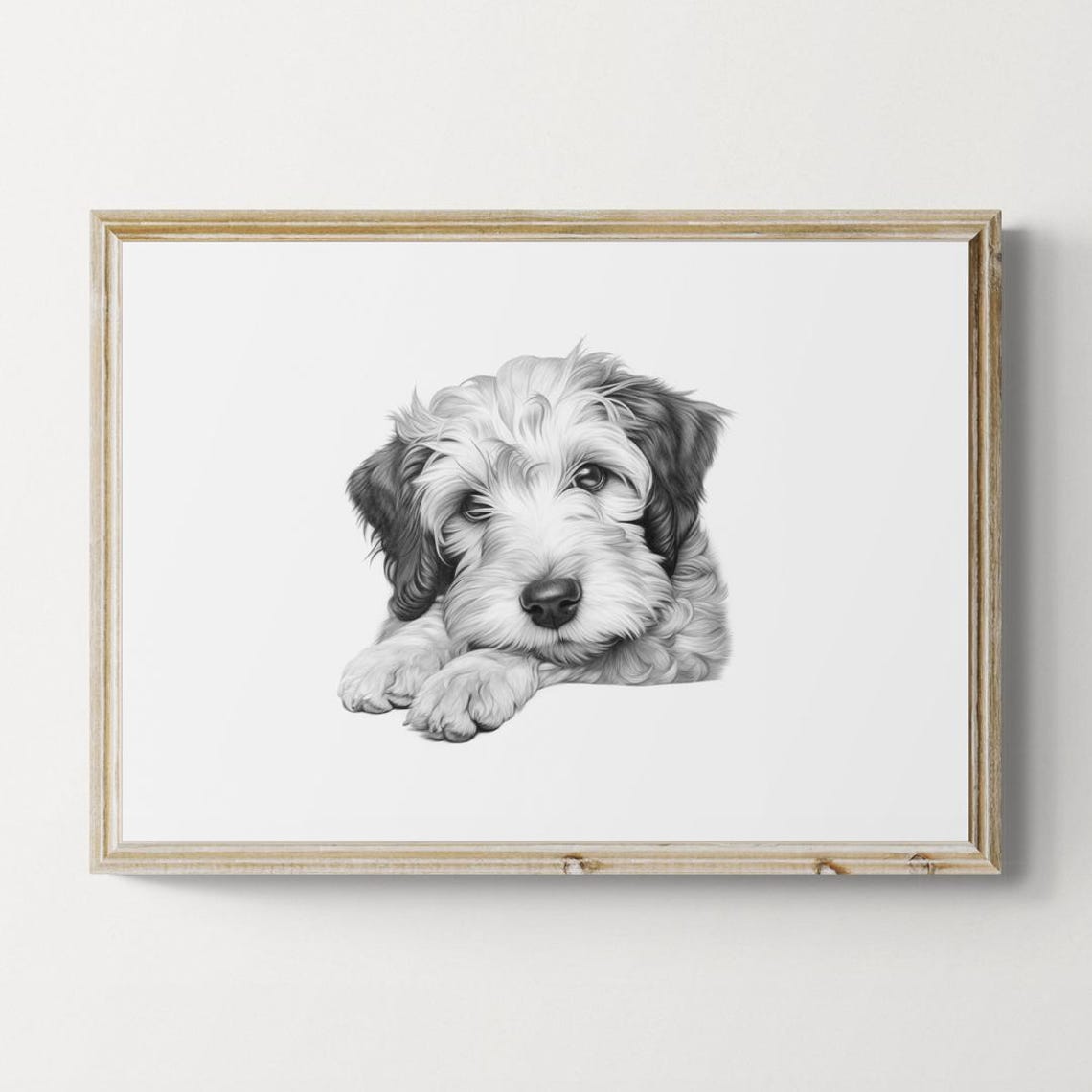 Schnoodle Puppy Pencil Sketch Adorable Cute Doodle Dog Print