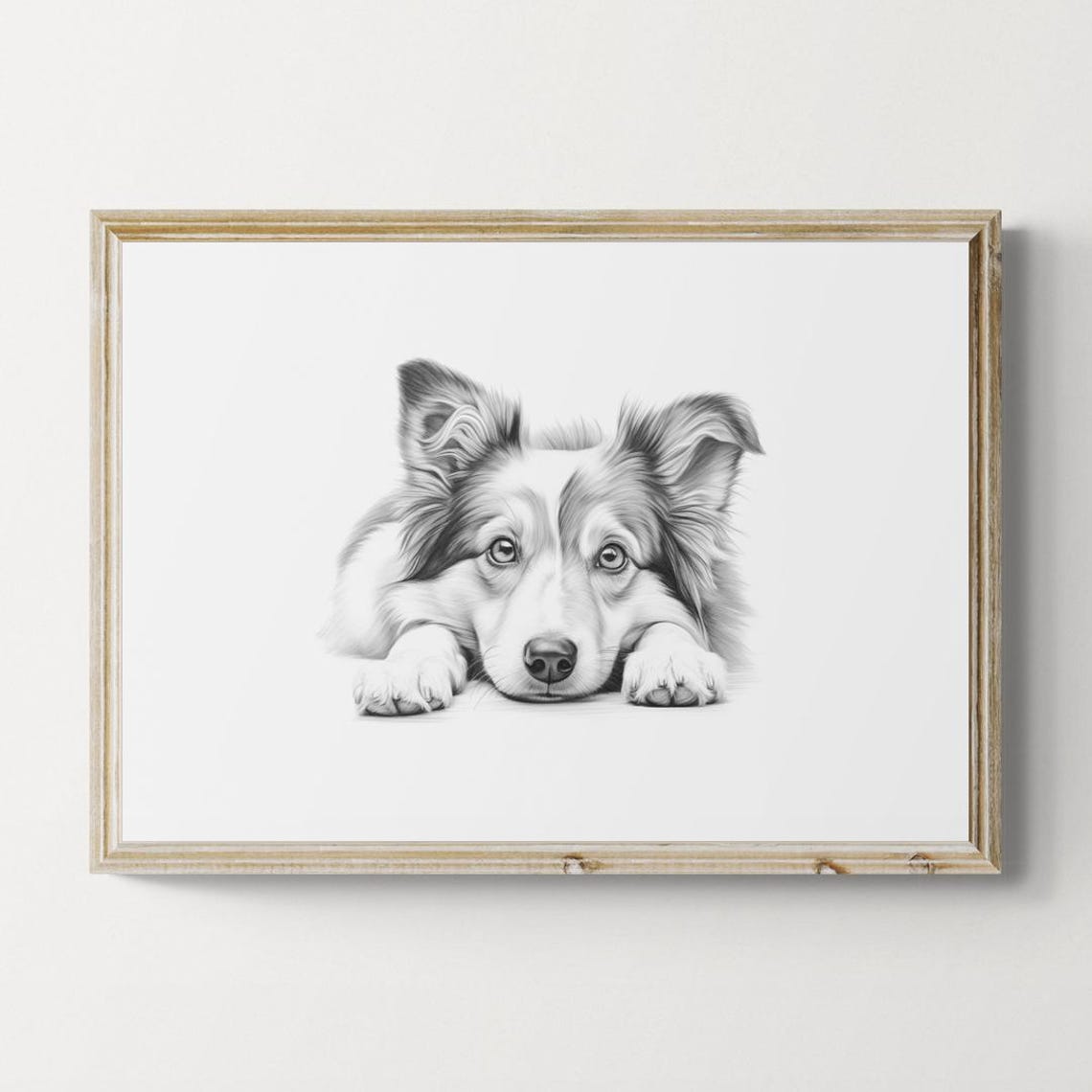 Shetland Sheepdog Puppy Mini Collie Puppy Pencil Sketch Portrait Print