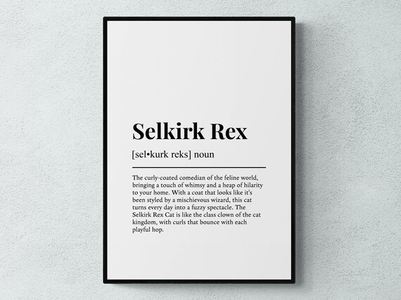 Selkirk Rex Funny Definition Dictionary Style Minimalist Wall Art Poster