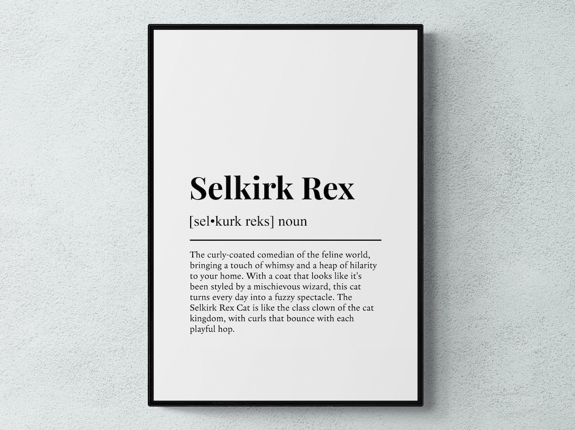 Selkirk Rex Funny Definition Dictionary Style Minimalist Wall Art Poster