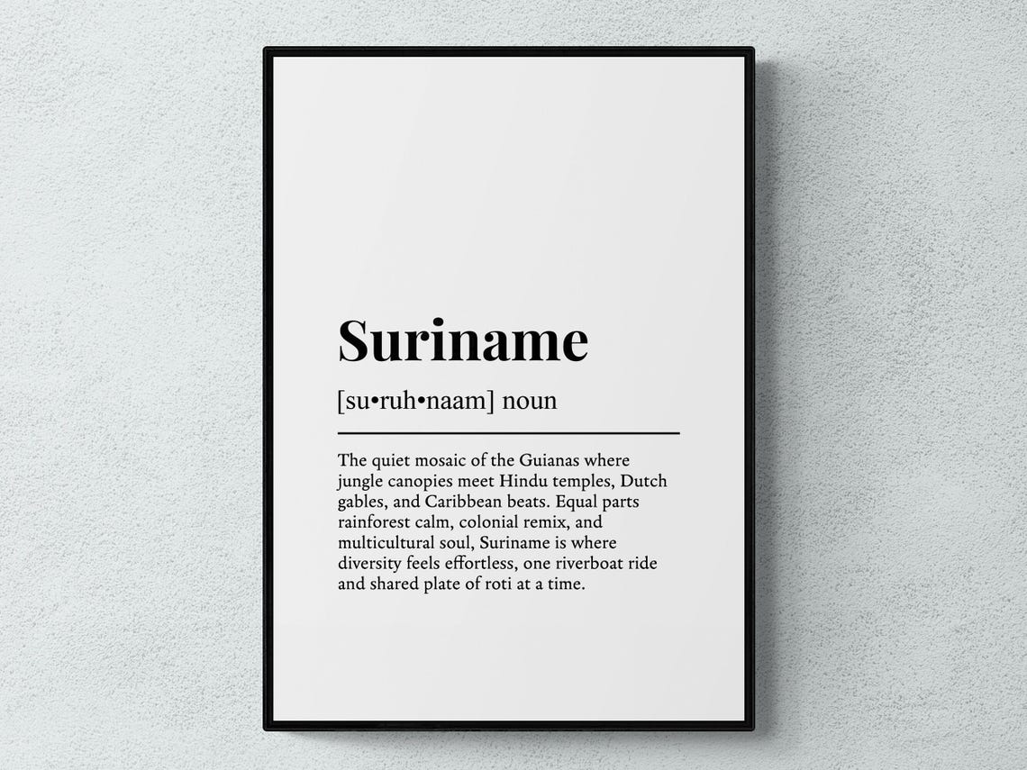 Suriname Funny Dictionary Definition South America Gift Print