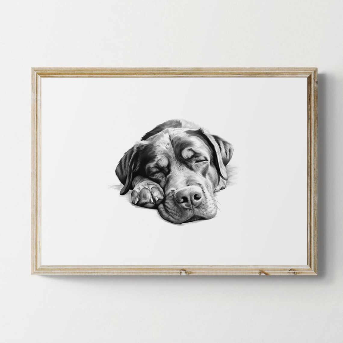 Rottweiler Puppy Sleeping Vintage Pencil Sketch Dog Breed Wall Art