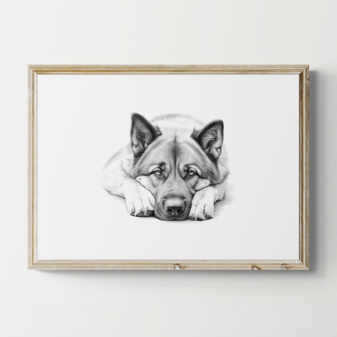 Akita Puppy Bear Face Japanese Dog Pencil Sketch Portrait Print