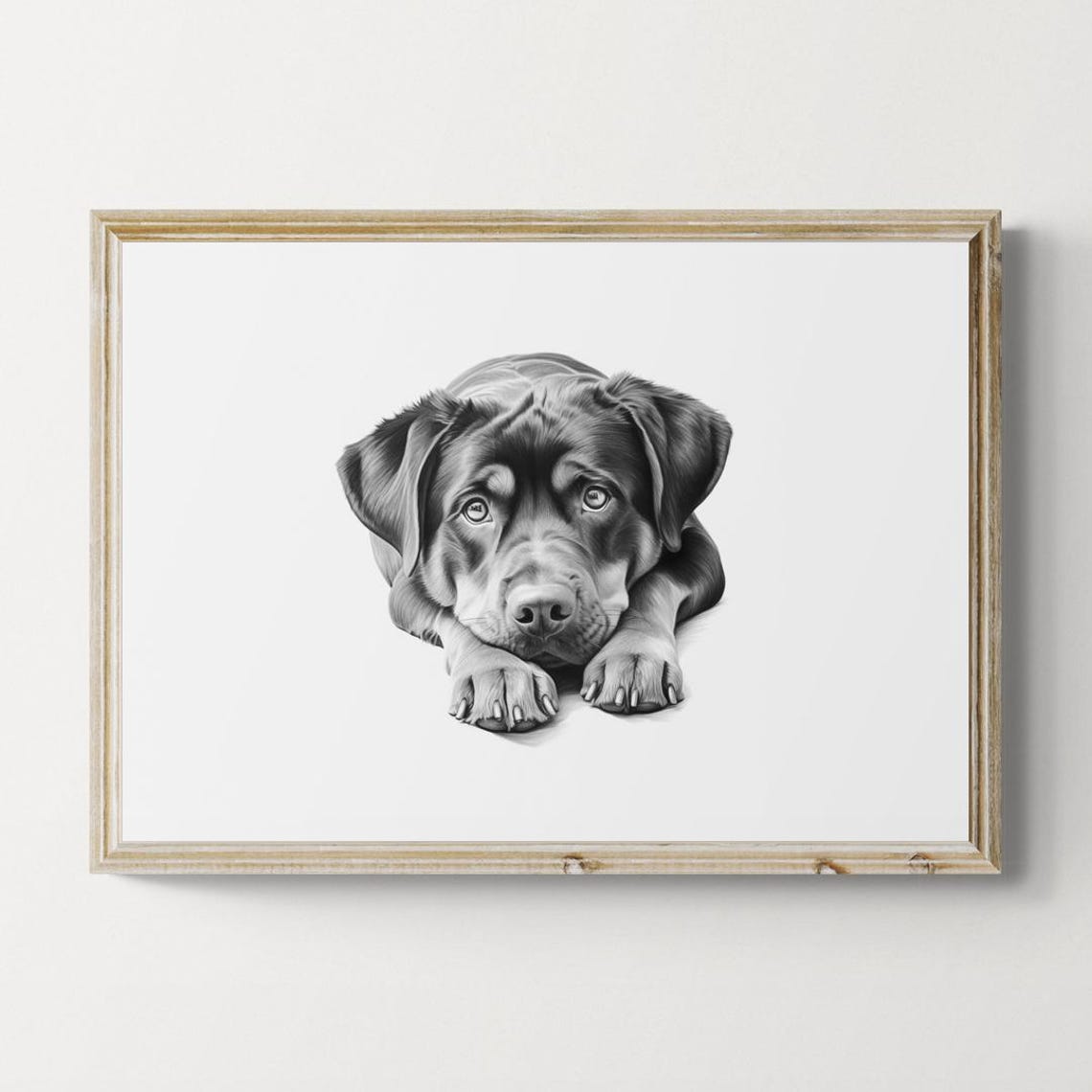 Rottweiler Puppy Tan Markings Sketch Lying Down Vintage Dog Poster