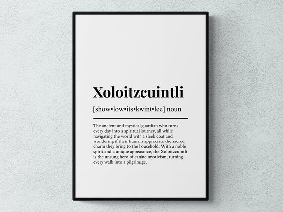 Xoloitzcuintli Funny Definition Dog Wall Art Print