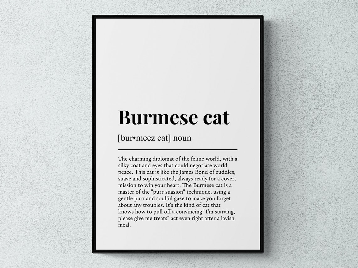 Burmese Cat Funny Dictionary Definition Humorous Cat Lover Gift Poster