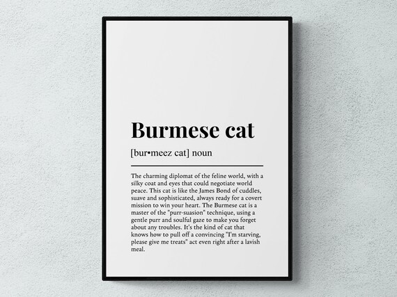 Burmese Cat Funny Dictionary Definition Humorous Cat Lover Gift Poster