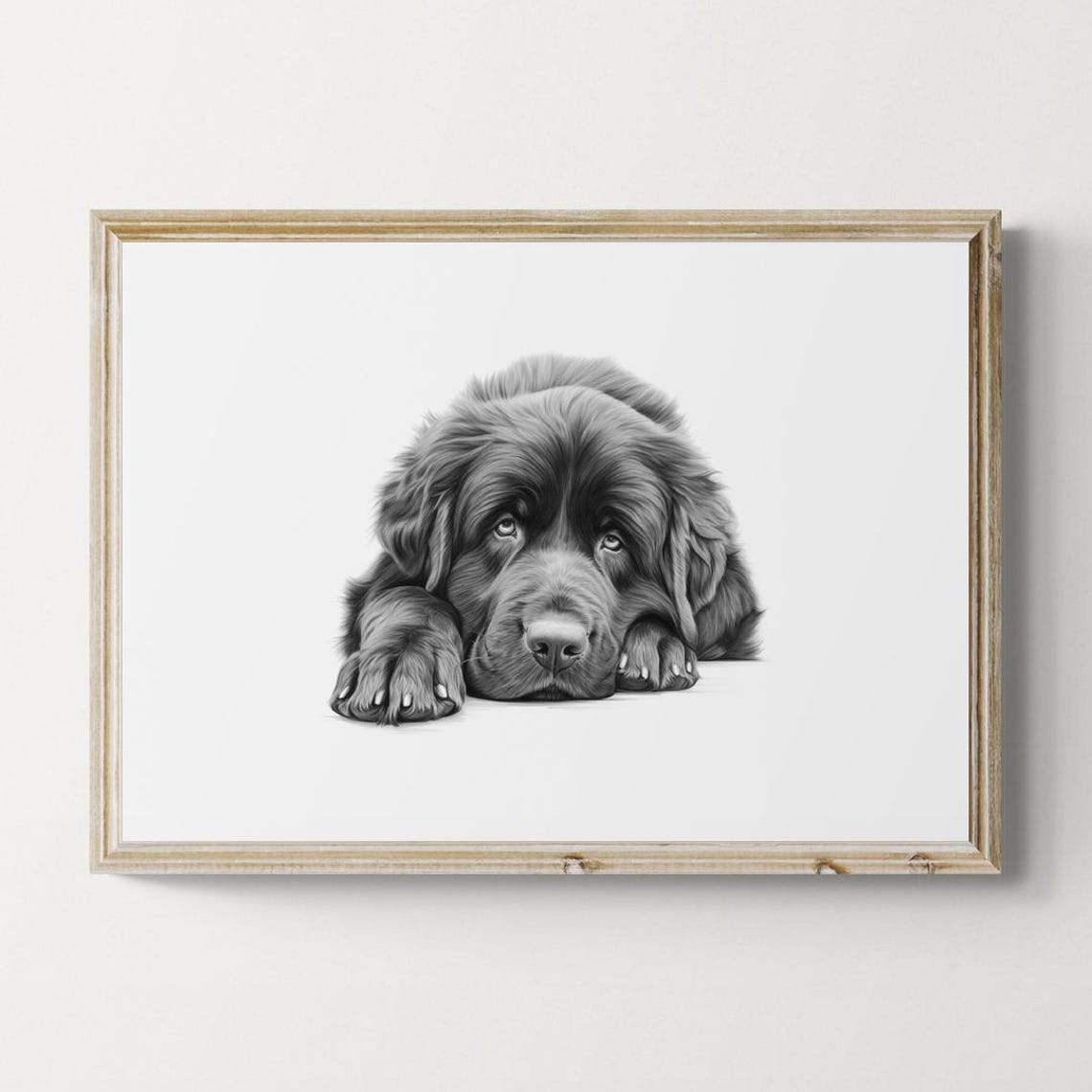 Newfoundland Puppy Pencil Sketch Gentle Giant Adorable Dog Print