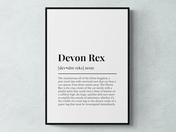 Devon Rex Funny Definition, Cat Breed Poster Print