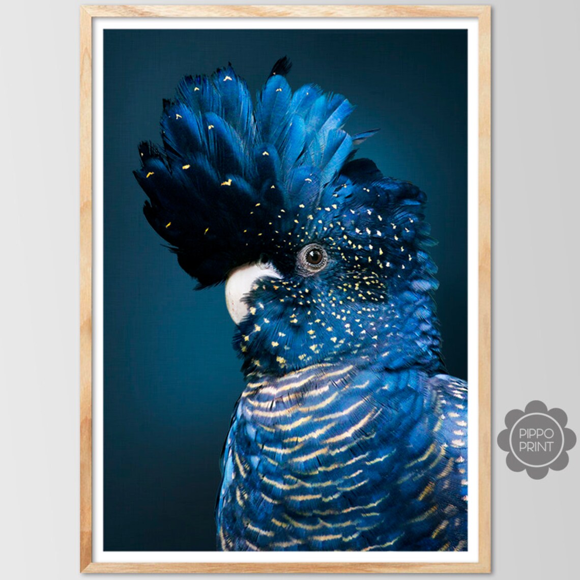 Black Cockatoo Art Print, Australian Bird Wall Art