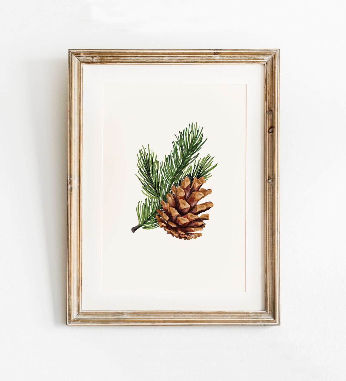 Botanical Winter Pinecone and Pine Tree Art Print