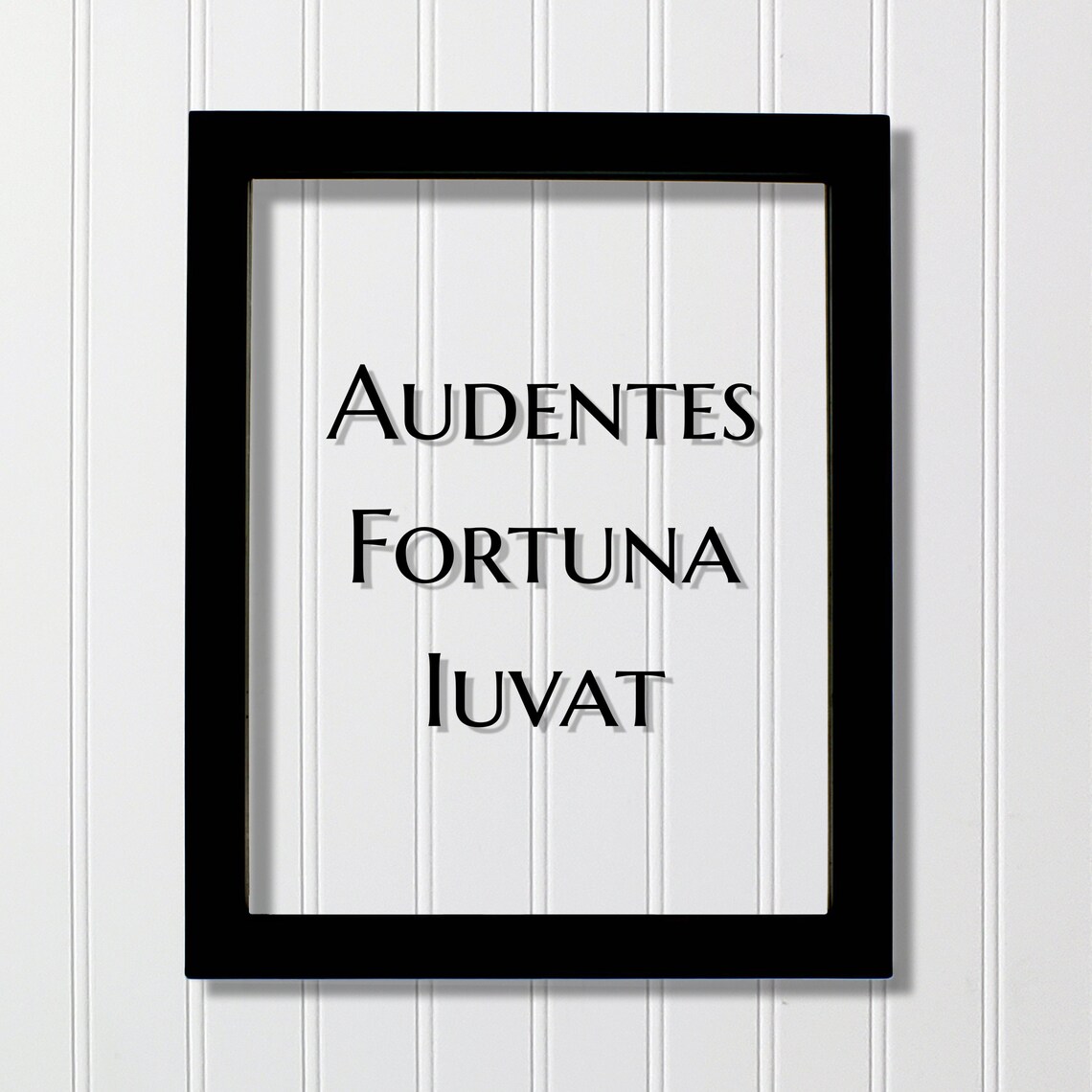 Audentes Fortuna Iuvat Latin Quote Art Print