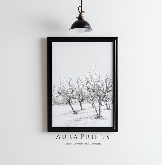 Bare Winter Trees Pencil Sketch Minimalist Field Drawing Art Poster