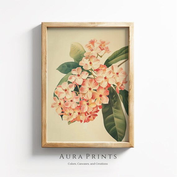 Vintage Botanical Pink Blossom Floral Cottage Hoya Flowers Wall Art