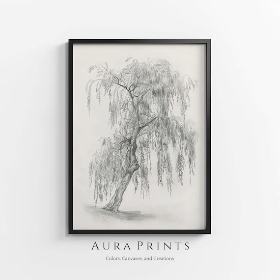 Weeping Willow Tree Pencil Sketch Neutral Botanical Minimalist Poster