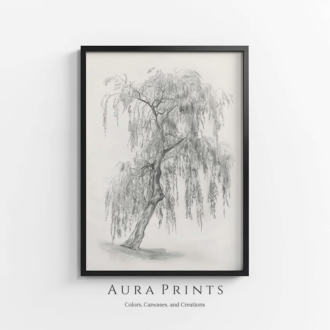Weeping Willow Tree Pencil Sketch Neutral Botanical Minimalist Poster