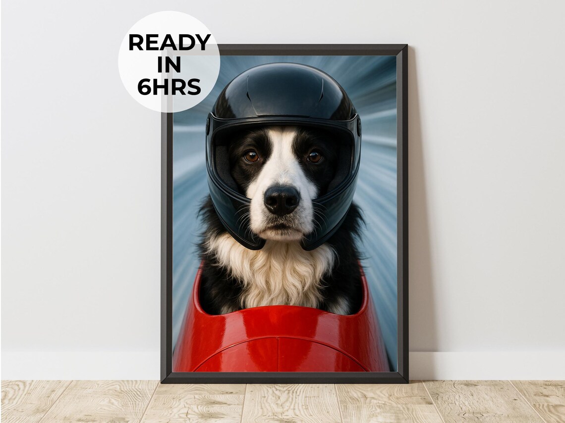 Bobsled Dog Border Collie Racing Helmet Red Sled Winter Portrait Poster