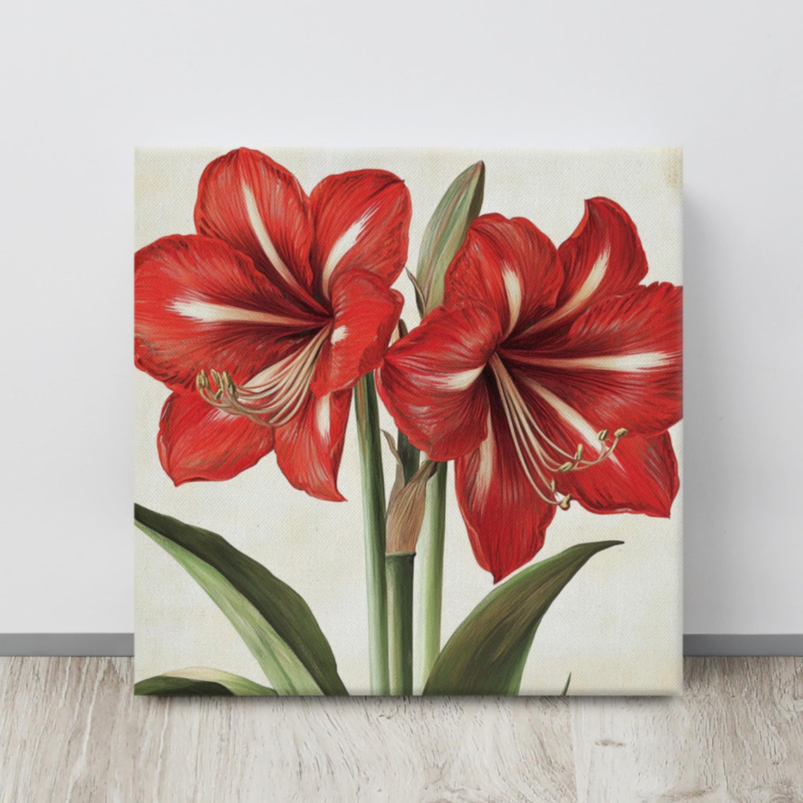 Red Amaryllis Blooms Vintage Cream Background Botanical Art Poster