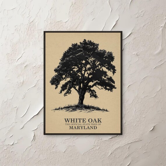 White Oak Maryland State Tree Vintage Botanical Kraft Art Poster