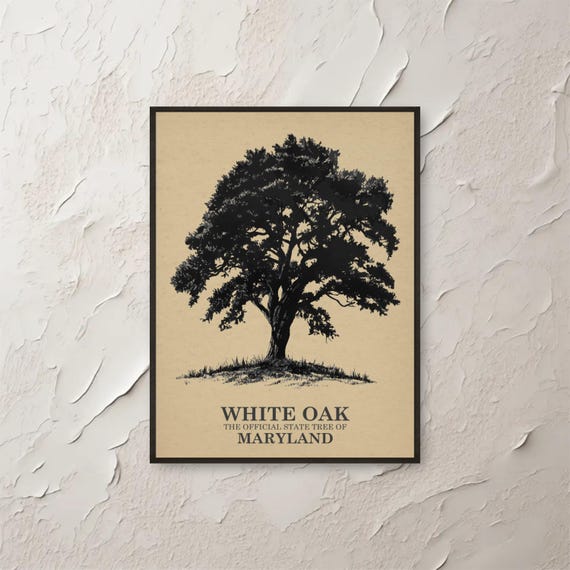 White Oak Maryland Tree Wall Art Vintage Print Botanical Illustration Nature Gift Home Decor