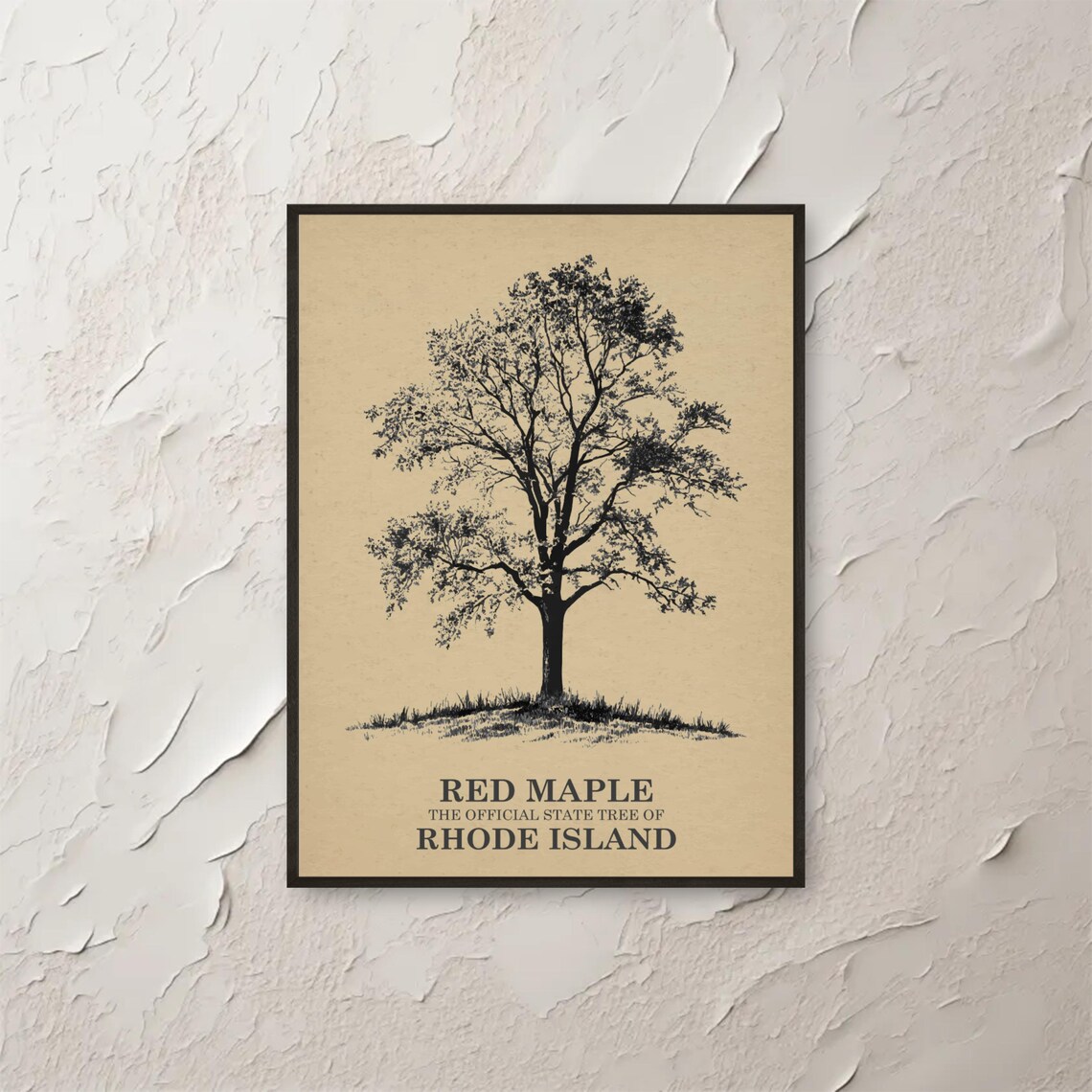 Red Maple Tree Wall Art Rhode Island State Botanical Print Vintage Illustration Nature Decor Home