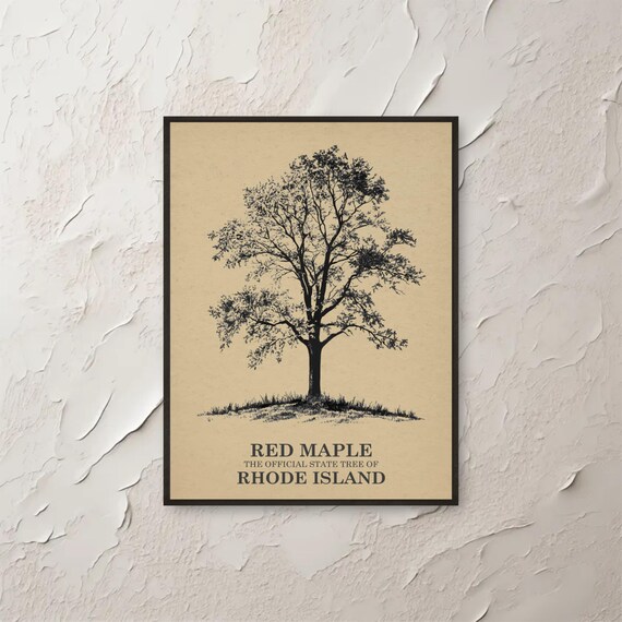 Red Maple Rhode Island State Tree Vintage Botanical Art Poster