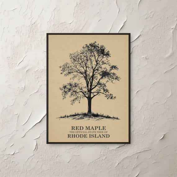 Red Maple Tree Wall Art Rhode Island State Botanical Print Vintage Illustration Nature Decor Home