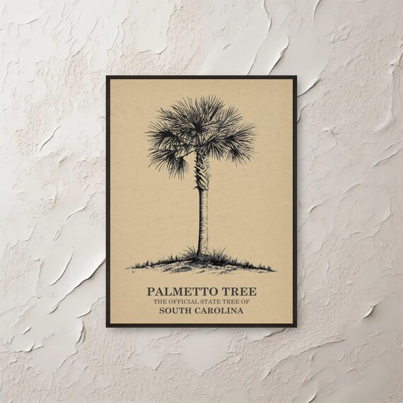 Palmetto Tree Wall Art South Carolina Botanical Print State Southern Decor Home Nature