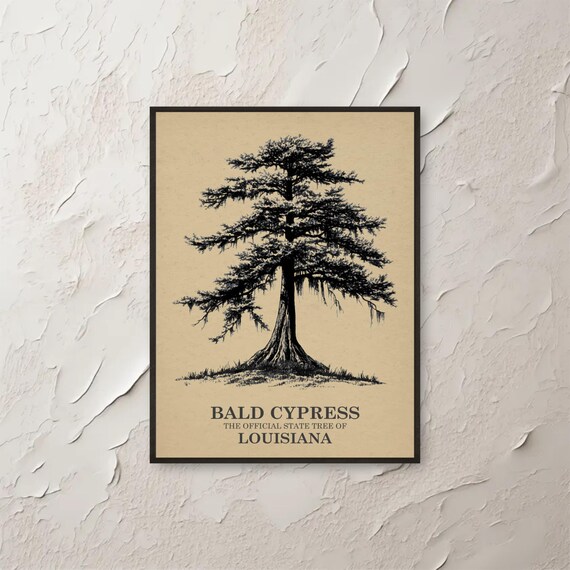 Bald Cypress Wall Art Louisiana State Tree Print Botanical Vintage Poster Nature Home Decor