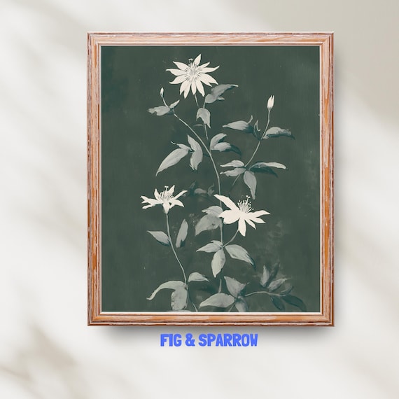 White Flowers On Dark Green Botanical Art Moody Floral Decor Poster