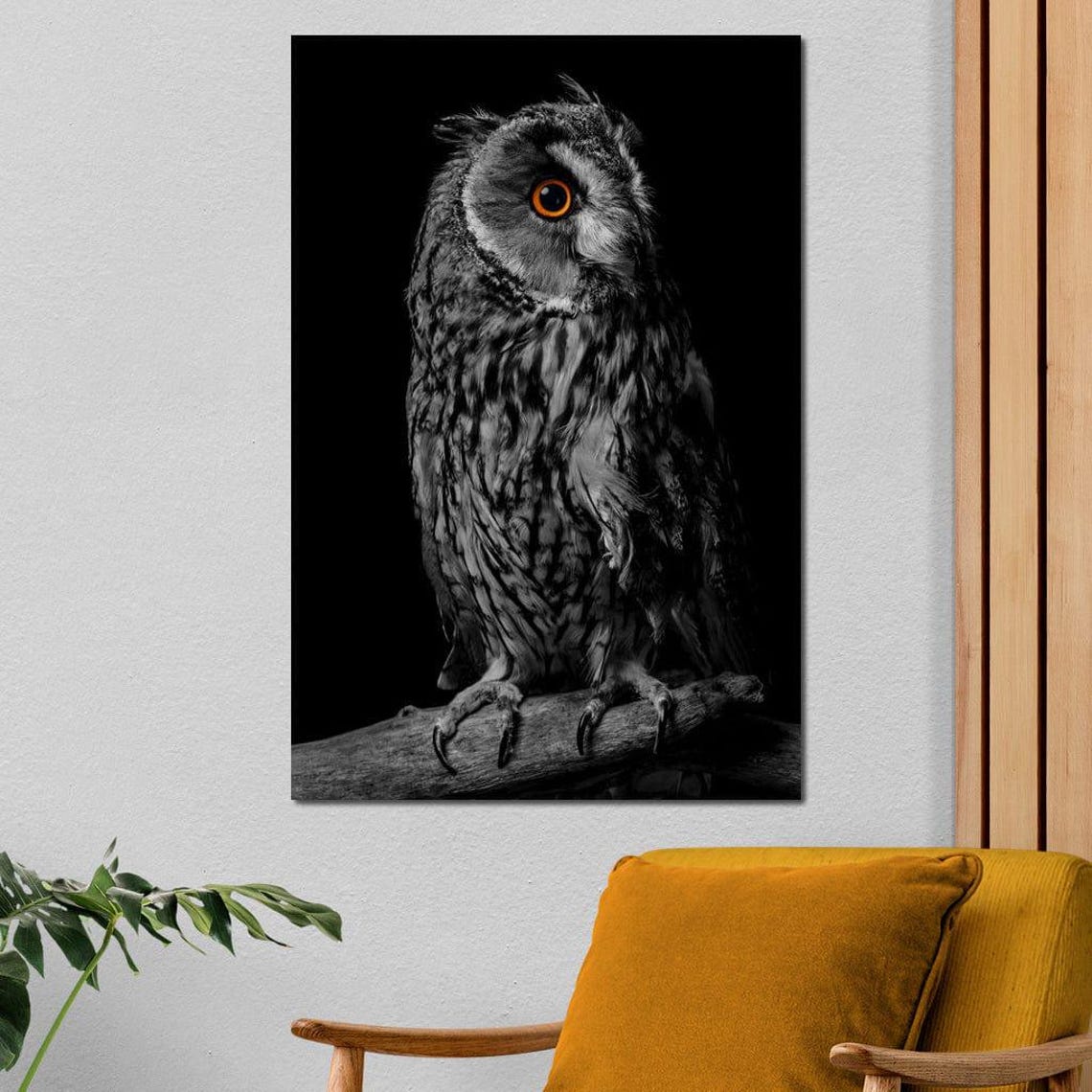 Black White Owl Orange Eye Perched Branch Wildlife Photography Poster - Image 4