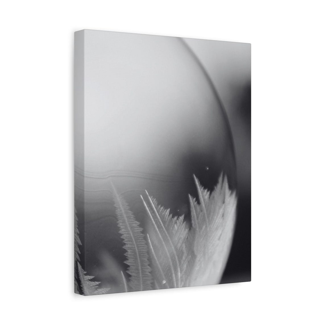 Frost Crystals on Glass Delicate Macro Black and White Photo Poster