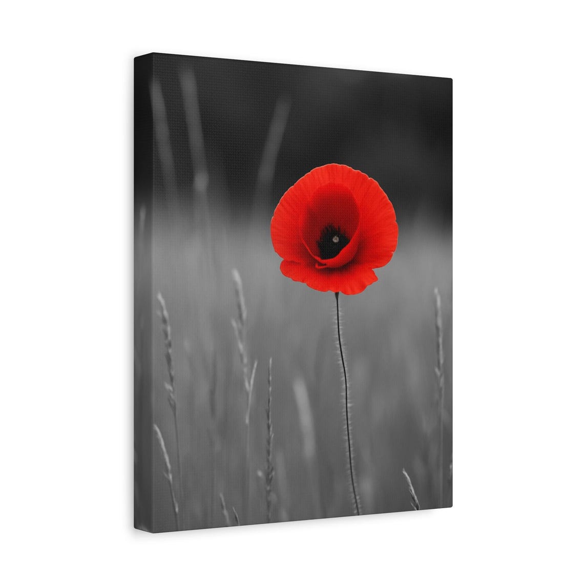 Single Red Poppy Selective Color Moody Dramatic Photo Art Poster