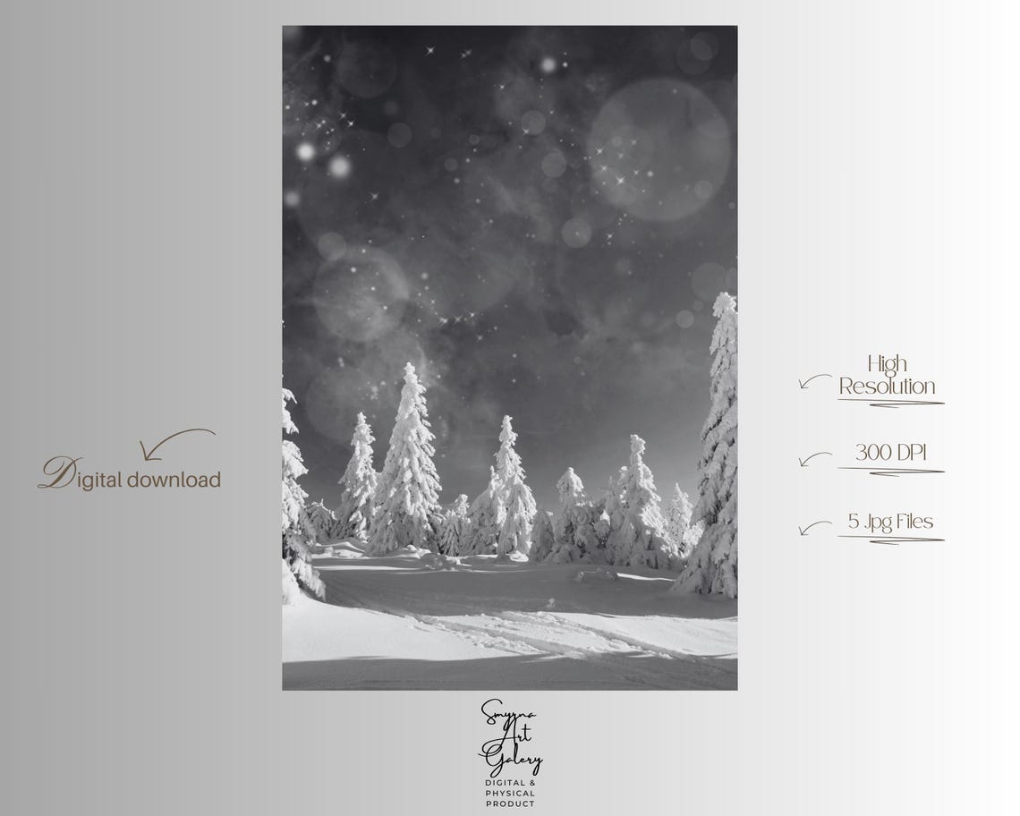 Snowy Winter Forest Night Starlit Monochrome Landscape Poster