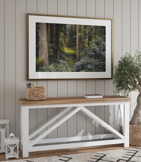 Redwood National Park, Forest Photography Art Print