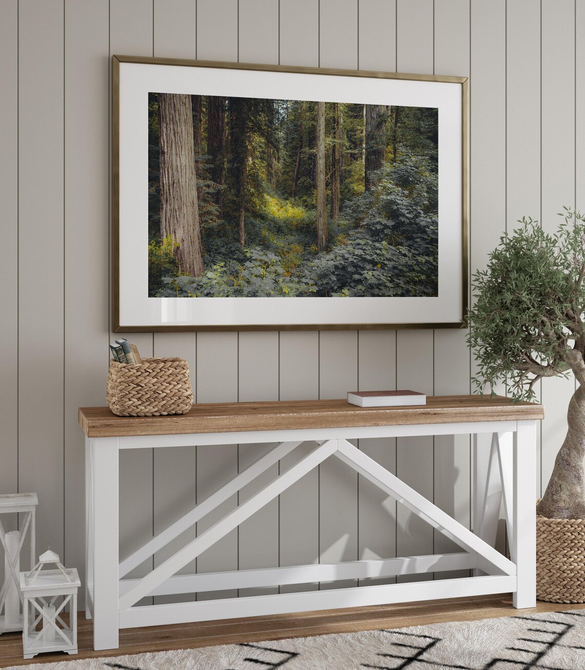 Redwood National Park, Forest Photography Art Print