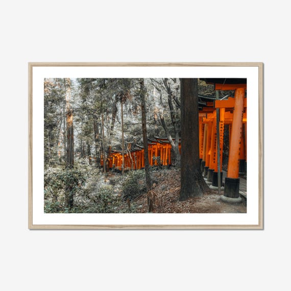 Japan Forest Torii Gates, Kyoto Japan Zen Wall Art