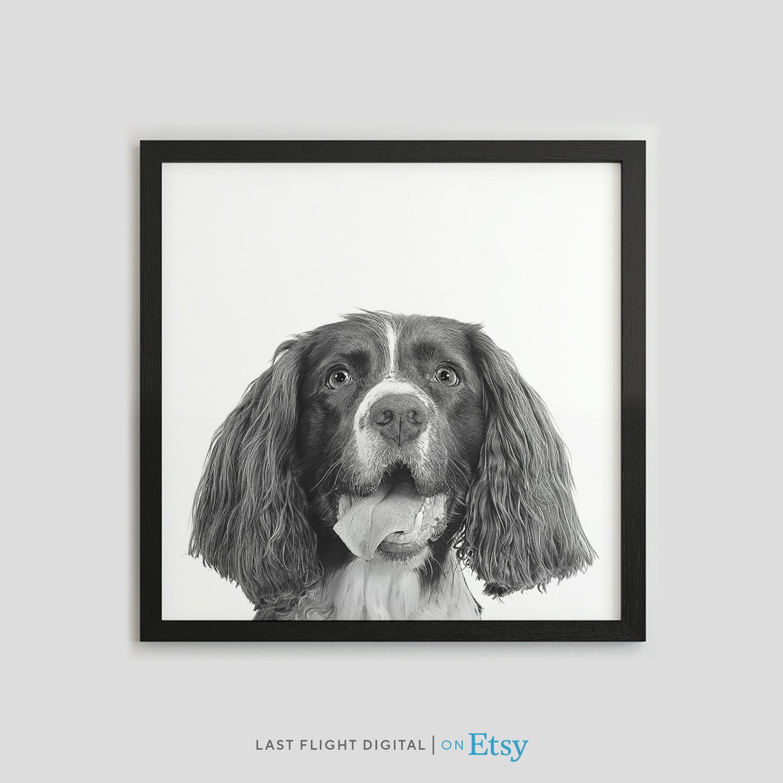 Springer Spaniel Dog Happy Tongue Out Black White Pet Photo Poster