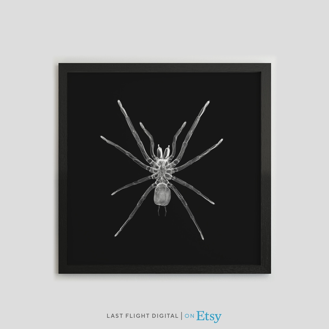 Spider X-Ray Gothic Insect Art Print
