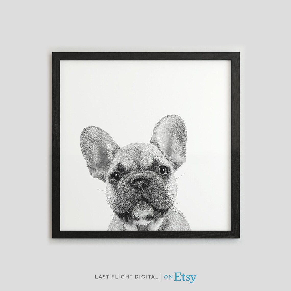 French Bulldog Puppy Dog Art Print, Kids Room