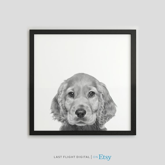 Dog Print Cocker Spaniel Dog Poster Puppy Print Puppy Poster Kids Room Nursery Black White Photo Cute Cocker Spaniel Print