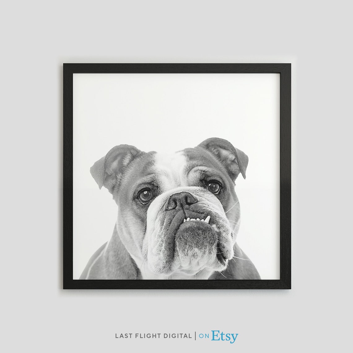Dog Print English Bulldog Dog Poster Puppy Print Puppy Poster Kids Room Face Black White Photo Nursery English Bulldog Print