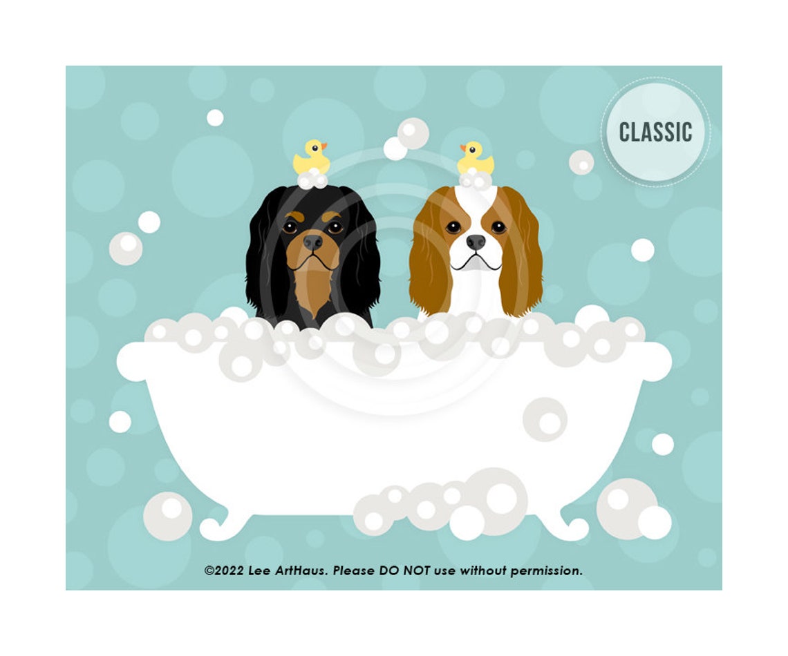 Two Cavalier King Charles Spaniels Bubble Bath Tub Duck Poster